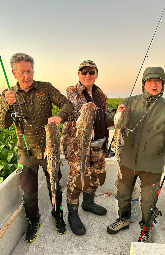 pesca de dorado en alejandra