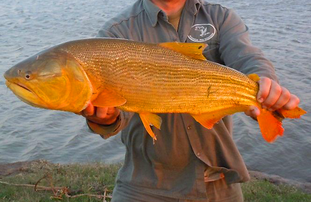pesca en santa fé