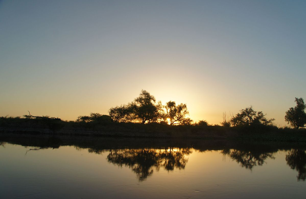 safari-fotográfico